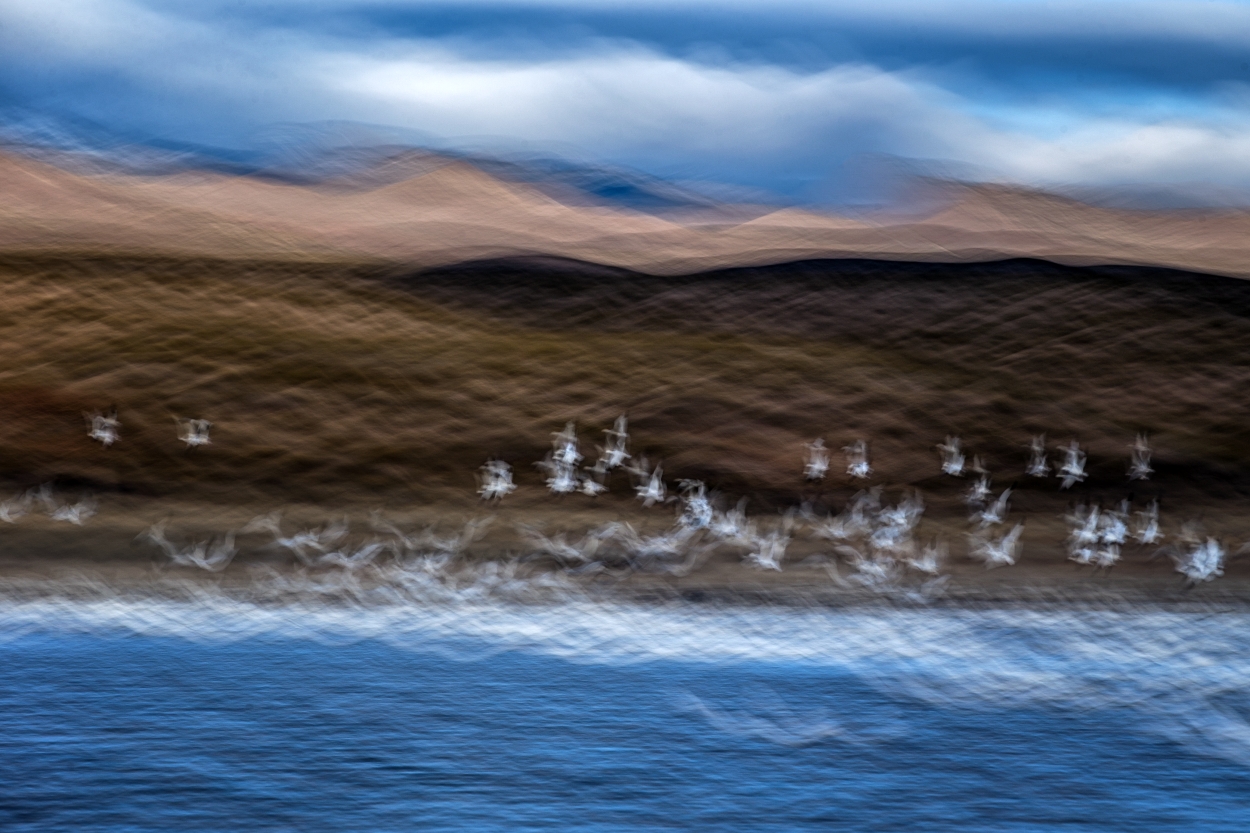WILDART PHOTOGRAPHER OF THE YEAR